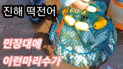 경남 진해 전어낚시 민장대 카드채비 떡전어 만쿨하는 바다낚시 포인트 조황 및 채비정보