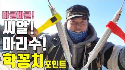 거제 망치방파제 학꽁치낚시 학꽁치찌낚시, 발판 편한 망치항 학꽁치 바다낚시 조황 정보, 학꽁치손질법 학꽁치회뜨는법