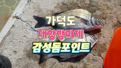가덕도 대항방파제 감성돔낚시 포인트 조황 및 채비정보