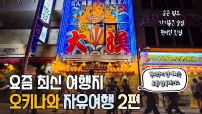 오키나와 자유여행 가볼만한곳 로컬 핫플레이스 현지인 맛집부터 술집 숨은 명소 가볼만한곳 돈키호텔 할인꿀팁
