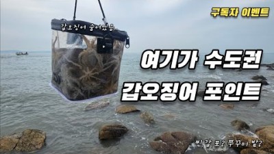 인천 소무의도 워킹 갑오징어 쭈꾸미낚시 포인트 조황정보
