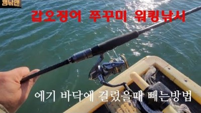 서해안 보령 원산도 갑오징어 쭈꾸미 워킹 루어낚시 바닥에 에기 걸렸을때 빼는 방법