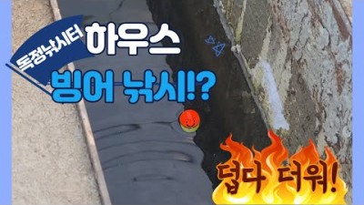 안성 독정낚시터 빙어낚시, 국내 최초 하우스 빙어낚시터, 가족형 낚시터, 빙어튀김 서울근교 빙어낚시 갈만한곳