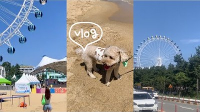 1박2일 속초 여행코스 맛집 카페 핫플 아바이마을 88생선구이 보사노바 송도물회 소야삼교리동치미막국수 가볼만한곳 추천