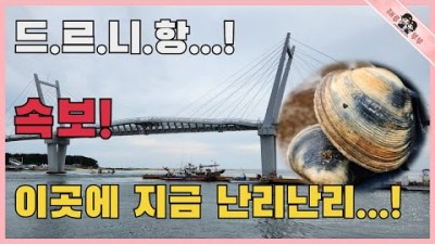 안면도 드르니항 개조개 해루질 포인트 가볼만한곳 추천