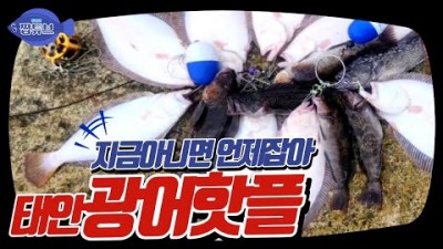 태안 가의도 광어낚시 도보권 갯바위 광어 루어낚시 포인트 추천