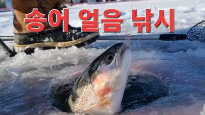 경기도 가평 송어 얼음낚시 '가평낚시터' 입어료 3만원, 송어얼음낚시 조황 정보