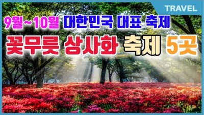 가을 꽃축제 가볼만한곳 불갑산꽃무릇 선운사꽃무릇 정읍구절초축제 유림공원국화꽃전시회 임실N치즈축제 고창핑크뮬리축제 가을축제 갈만한곳