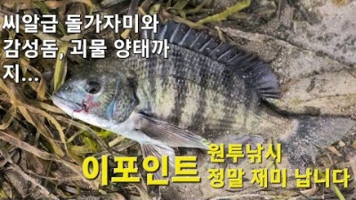 거제도 성포항 원투낚시 포인트, 마릿수 도다리, 감성돔, 양태 원투낚시, 거제 바다낚시포인트 추천