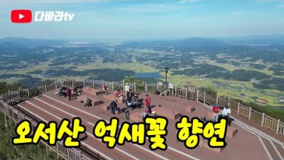 충남 보령 오서산 등산코스 트레킹 억새꽃 서해안 여행 블랙야크 100대 명산 산행 가볼만한곳 추천