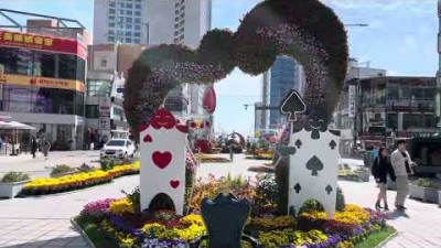 해운대 가을 국화축제 부산여행 축제 가볼만한곳 추천