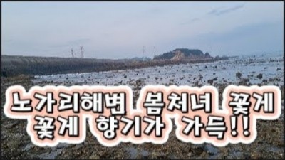 인천 영흥도 해루질 가볼만한곳 수도권 노가리해변 낙지 꽃게 해루질포인트 갈만한곳