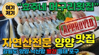 강원도 속초 양양 맛집 낙산항 '효주네 머구리횟집' 자연산 모듬회 맛집 낙산해수욕장 분위기 좋은 횟집 가볼만한곳