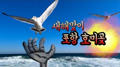 새해 일출 명소 포항 호미곶, 포항 맛집 여행, 구룡포, 죽도시장 맛집, 시민제과, 태백 실비집, 포항 여행 가볼만한곳 추천
