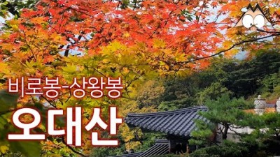 오대산 비로봉 상왕봉 등산 트레킹 코스 추천 오대산국립공원 단풍소식 100대 명산 가볼만한곳 추천