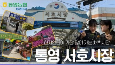 통영맛집 서호시장맛집 새벽시장맛집 서피랑공원 훈이시락국 오미사꿀빵 부일식당 할매우짜 뺴떼기죽 통영여행 맛집 가볼만한곳