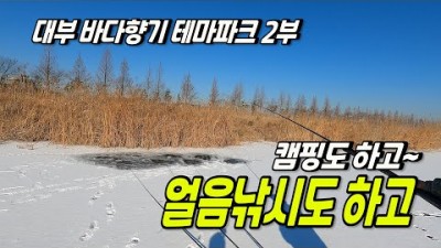 수도권 차박 캠핑지 얼음낚시도 하고 캠핑도 즐기는 대부 바다향기 테마파크 서울근교 캠핑 얼음낚시 가볼만한곳 추천