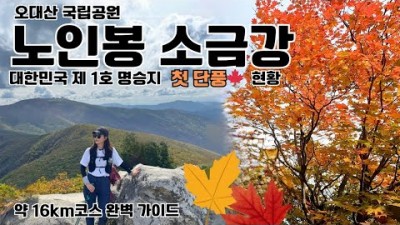 오대산 노인봉 소금강 등산코스 가을 추천 산행지 가을 단풍 현황