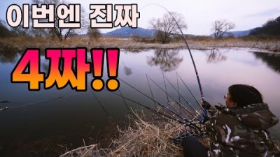 낙동강 수로 붕어낚시, 수초낚시 산란기 붕어낚시 포인트 얕고 수초가 있는 곳이 명당, 4짜붕어 조황정보