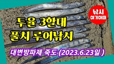 부산 대변항 방파제 풀치 갈치 루어낚시 조황, 부산 기장권 방파제 바다낚시 조항